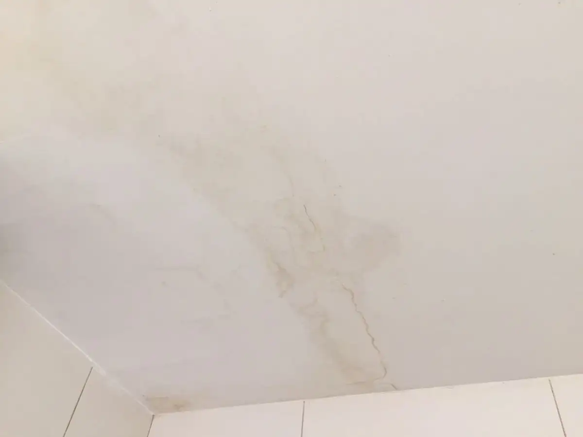 Dấu hiệu khi nhà bị thấm ngược